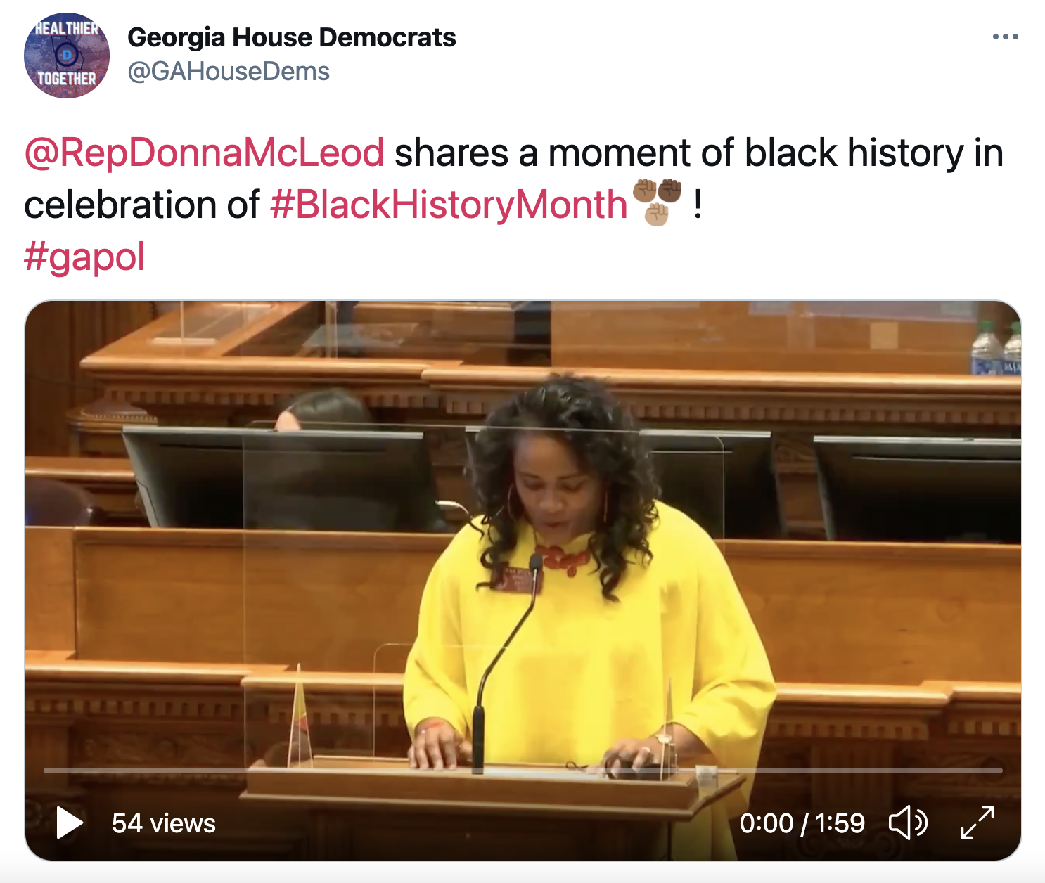 Georgia House Democrats: @RepDonnaMcLeod shares a moment of black history in celebration of #BlackHistoryMonth! #gapol